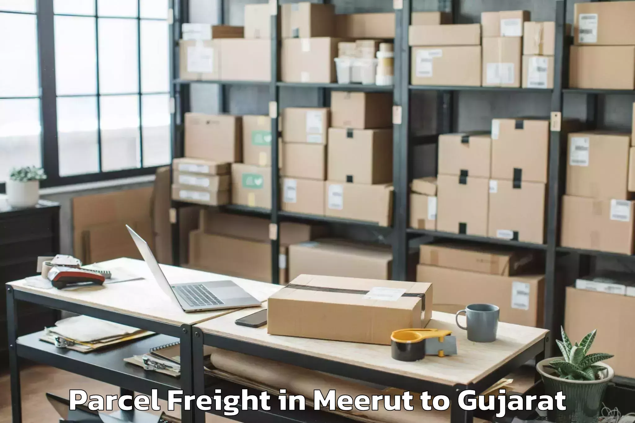 Leading Meerut to Netrang Parcel Freight Provider